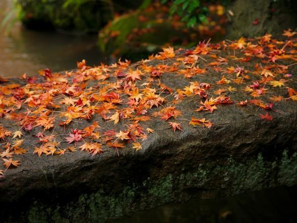Yagyu No Sho Hotel Izu  Exterior photo